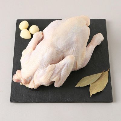 [신상품] 무항생제 생닭 1KG(마리)