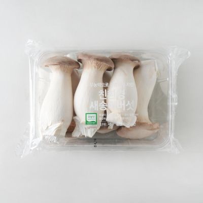 가교버섯영농조합  친환경 뿌리손질 새송이버섯