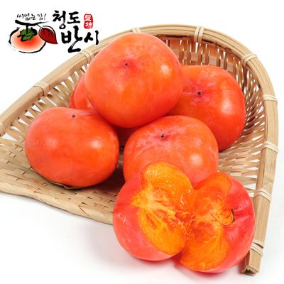 [산지직송] 고당도 씨없는 청도반시(홍시용) 5kg (51-55과)