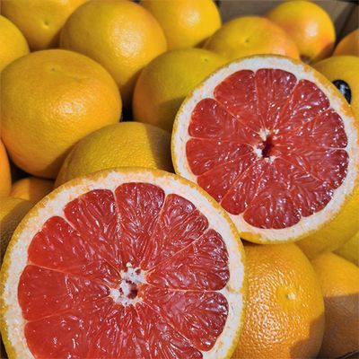 [신상품]고당도 수입 레드자몽 20과 L (개당 300g 내외)