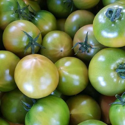 부산 대저 토마토 특품 2.5kg (L-2L)
