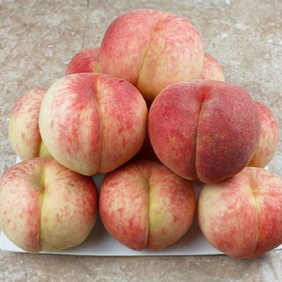 아삭아삭 딱딱이 복숭아 4kg 대과