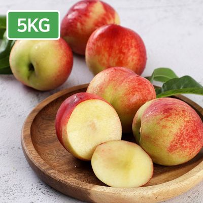 흠과NO 천도복숭아 정품 신비 복숭아 5kg 실중량 랜덤사이즈 / 아이스박스포장