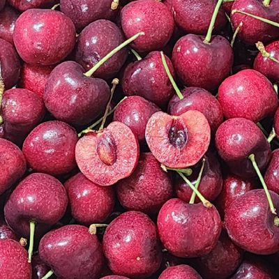 캐나다 항공직송 초고당도 생 체리 500g