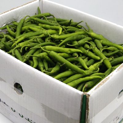 새벽경매 국내산 A급 청양고추 땡초 반박스 5kg