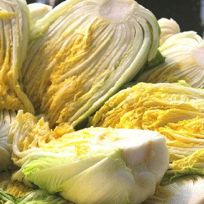 (수령일 지정) 괴산 김장배추 절임배추 20kg