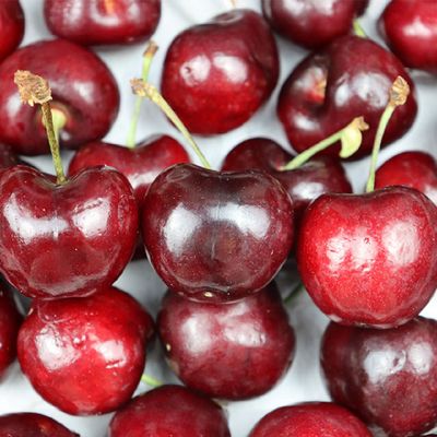 수입 고당도 생체리 두근두근 1.6kg