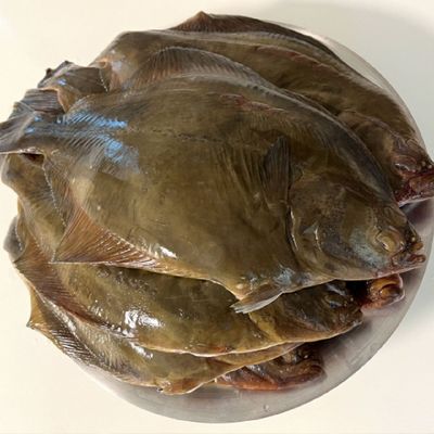 제철 국내산 돌도다리 돌가자미 생물 3kg 내외