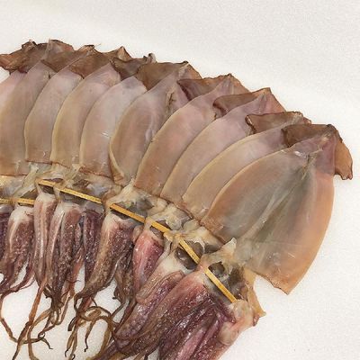 구룡포 반건조 오징어 5미 550g 중 원양산오징어 해풍 포항오징어 구룡포오징어 덜 마른