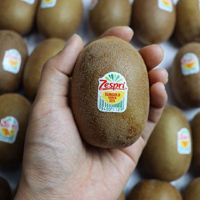 가정용 뉴질랜드 제스프리 골드키위 특과 20과