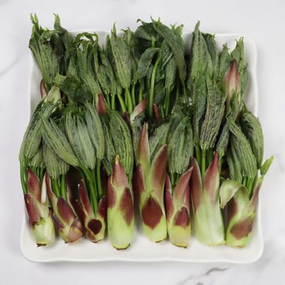 경북 청송 봄나물 엄나무순 1kg