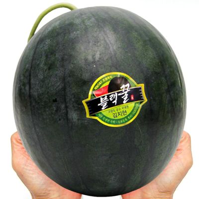 제철과일 고당도 흑수박 4kg 흑미수박 농가 직배송