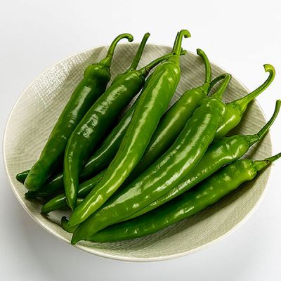 싱싱 국산 청양 고추 2kg 특 땡초 고추 청량고추 청고추 매운고추 풋고추 생고추 반찬거리