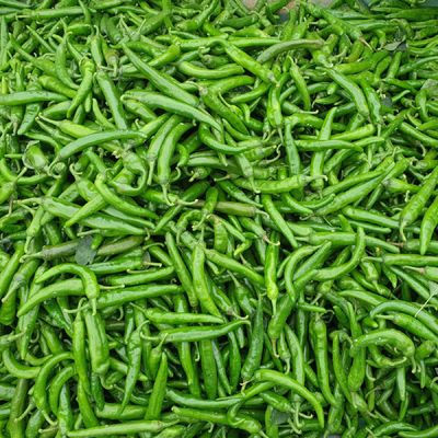 국내산 새벽경매 청양고추 700g