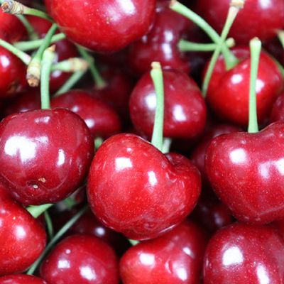 국내산 생체리 안동체리 선물용 2kg