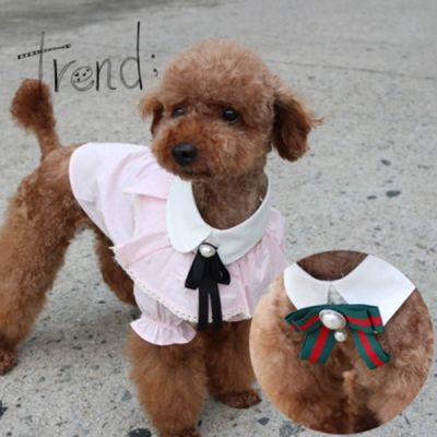 코코아허니 TNDB6982 815C 셔츠 넥카라(브로치별도) 랜덤발송