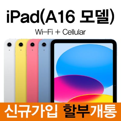 Apple 정품 아이패드 11 a16 256GB Wi-Fi 셀룰러 공용 미개봉 새상품 KT