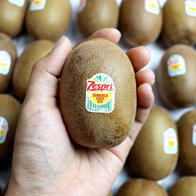 뉴질랜드 제스프리 골드키위 선물세트 왕특 20과