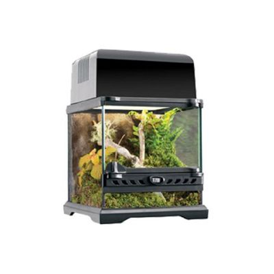 특가할인 MZXF9938 파충류 유리장(20x20x20cm) 파충류 채집통