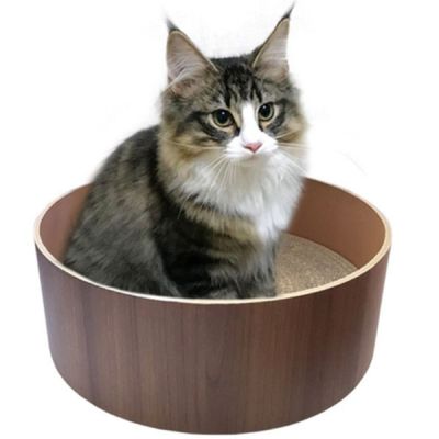 NH-216 WJVY7790 힐링타임 띵가띵가 스크래쳐 BIG(브라운 52cm)