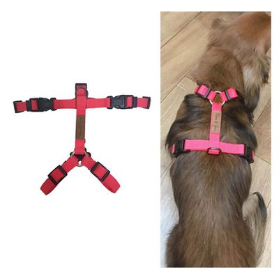 핑크 JNHR0208 솔리드 강아지 페로가토 H 하네스