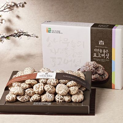강원도 설악산 마수아 백화고 세트 2호 500g 표고버섯 표고버섯세트 명절선물세트 거래처선