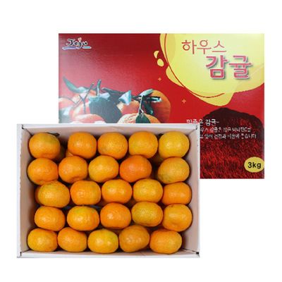 제주 직송 하우스 감귤 선물세트 10kg