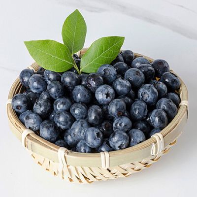 항공직수입 프리미엄 수입산 생 블루베리 14-16mm 1kg (125g x 8팩)