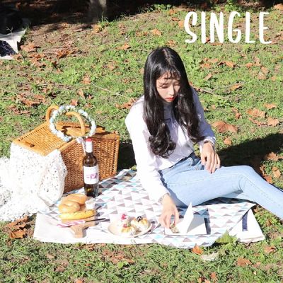 더해피  QI92ED64 양면 방수코팅 1인용 식탁/테이블/피크닉 매트