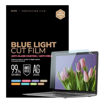 고광택 HP 15-FD0097TU 저반사 블루라이트차단필름