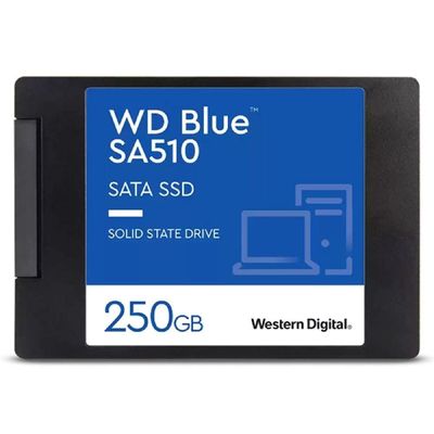내장SSD하드 SSD SATA 내장 스테이트 솔리드 250GB SA510 Blue