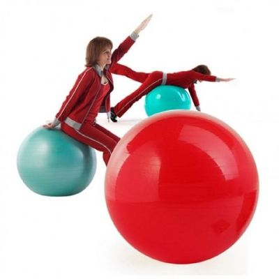 요가볼 짐볼 임산부 운동 독립체 해변용