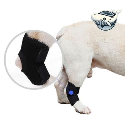 강아지탈구보호대 강아지 보호대 슬개골 지지대 완화 보조기