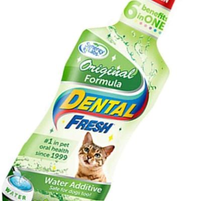 고양이 GAEV9192 구취 제거제 236ml 구강용품 치아 구강