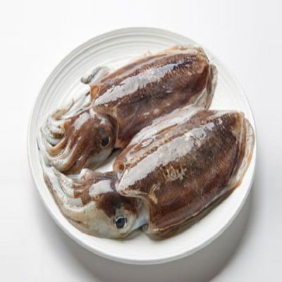 부드럽고 쫄깃한 국내산 제철 서해안 생물 갑오징어 5kg 미손질