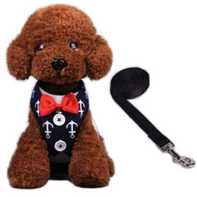 하네스세트 CXTW2144 M(닻 네이비) 강아지옷 애견옷 애견줄