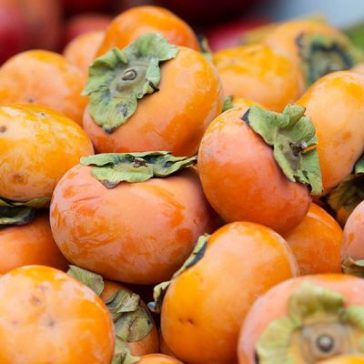 국내산 제철 단감 중대과 10kg내외 50-60과