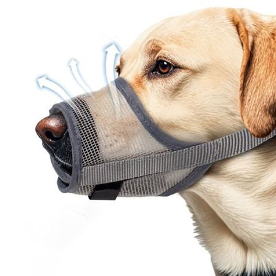 강아지 메쉬 입마개 산책 외출 훈련용품 짖음방지