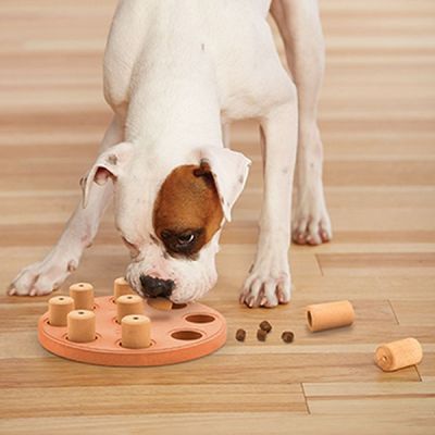 강아지사료장난감 강아지 먹이 퍼즐 컴포지트 레벨1 1P 노즈워크 두뇌