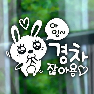 자동차용품 아잉 경차 애교토끼 초보운전스티커-반사