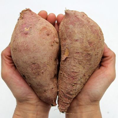 호박고구마 한입사이즈 한박스 10kg 호풍미
