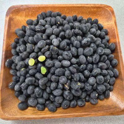 싱싱 국산 서리태 콩 1kg 햇 서리태 1kg 검은콩 속청 늦서리태 검정콩 흑콩 밥에넣는콩