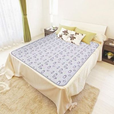 전기장판 Ks 2023년 신제품 일월 극세사 투톤 카본 동작감지 워셔블 더블