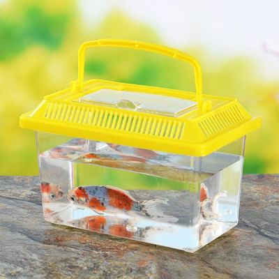 잠자리 사육장 대형 관찰통 톱벌레 달팽이 곤충채집통 소라게