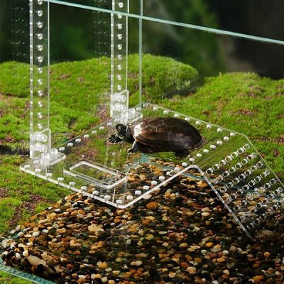 달팽이 거북이 사육장 자연형 쉼터 안전 놀이터 스크래치 공간 소형 은신처