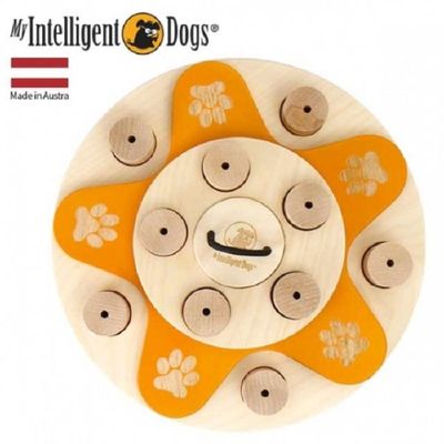 인텔리젼트 EBD221N6 독 재능장난감 독 플라워