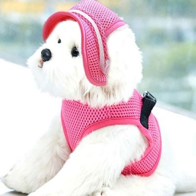 강아지 PUH926O5 모자 예쁜 애묘 썬캡_09강아지썬캡블루-L