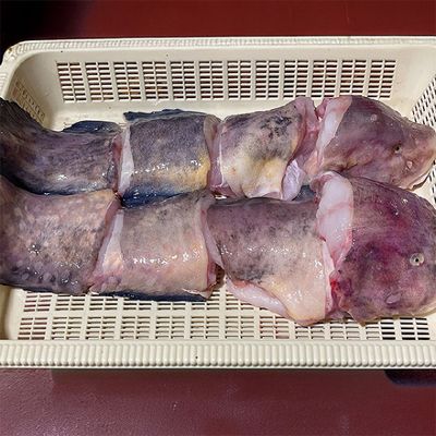 산지직송 손질 생물 물메기 1미 1kg