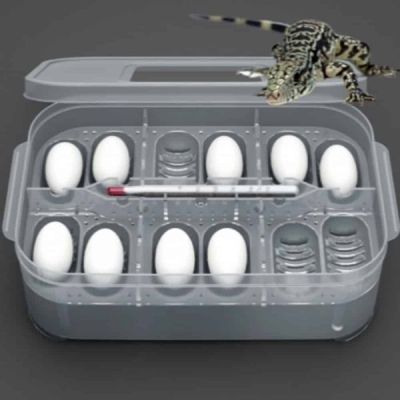 [신상품] 인큐베이터 SXU170L4 부화기 알통 에그트레이 도마뱀인큐베이터