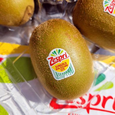 정품 제스프리 골드 키위 20과 2.6kg 특대과 제스프리 썬골드키위 골든키위 제스프리키위